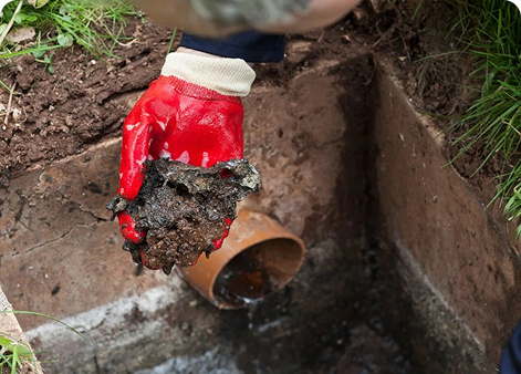 Drain Field Repair
